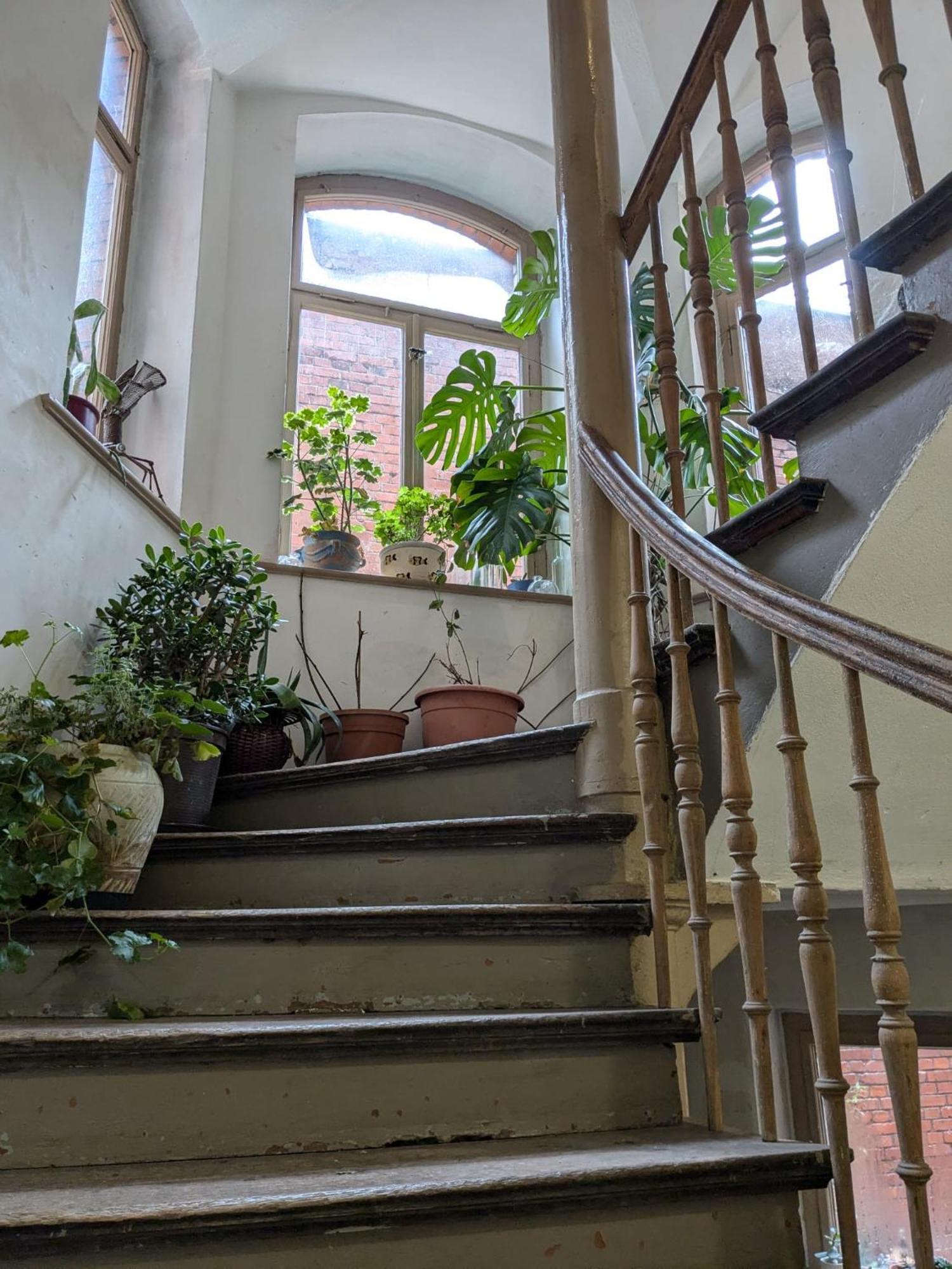 Ferienwohnung Antik 고타 외부 사진
