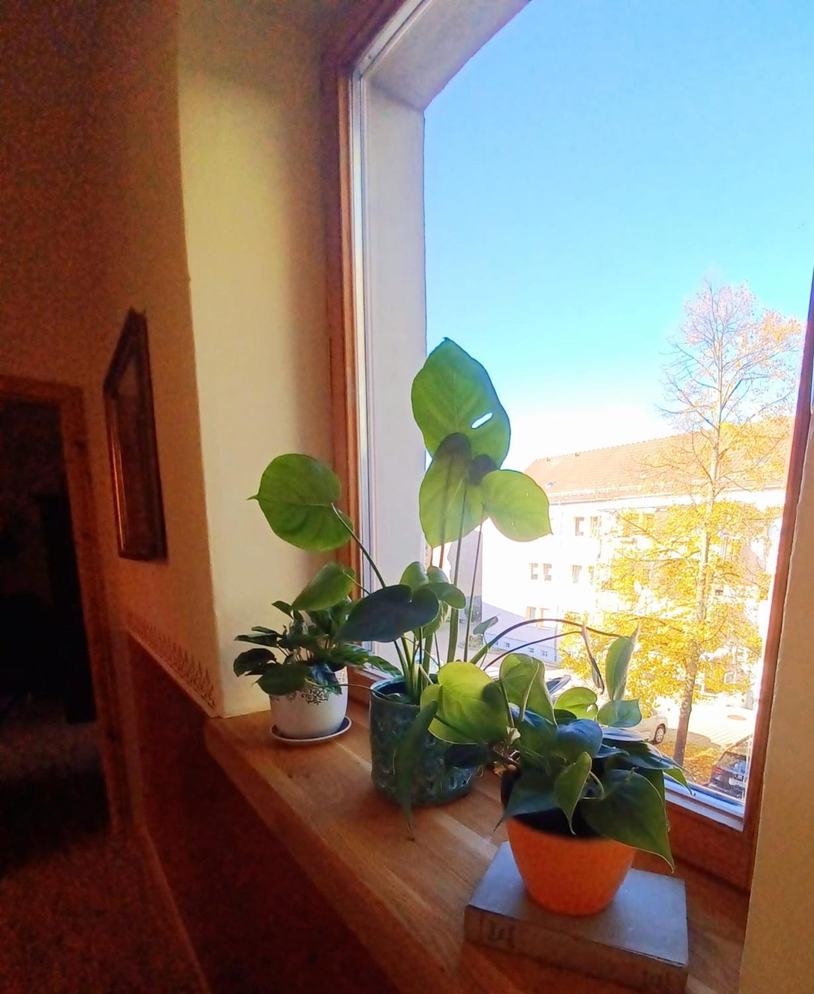 Ferienwohnung Antik 고타 외부 사진