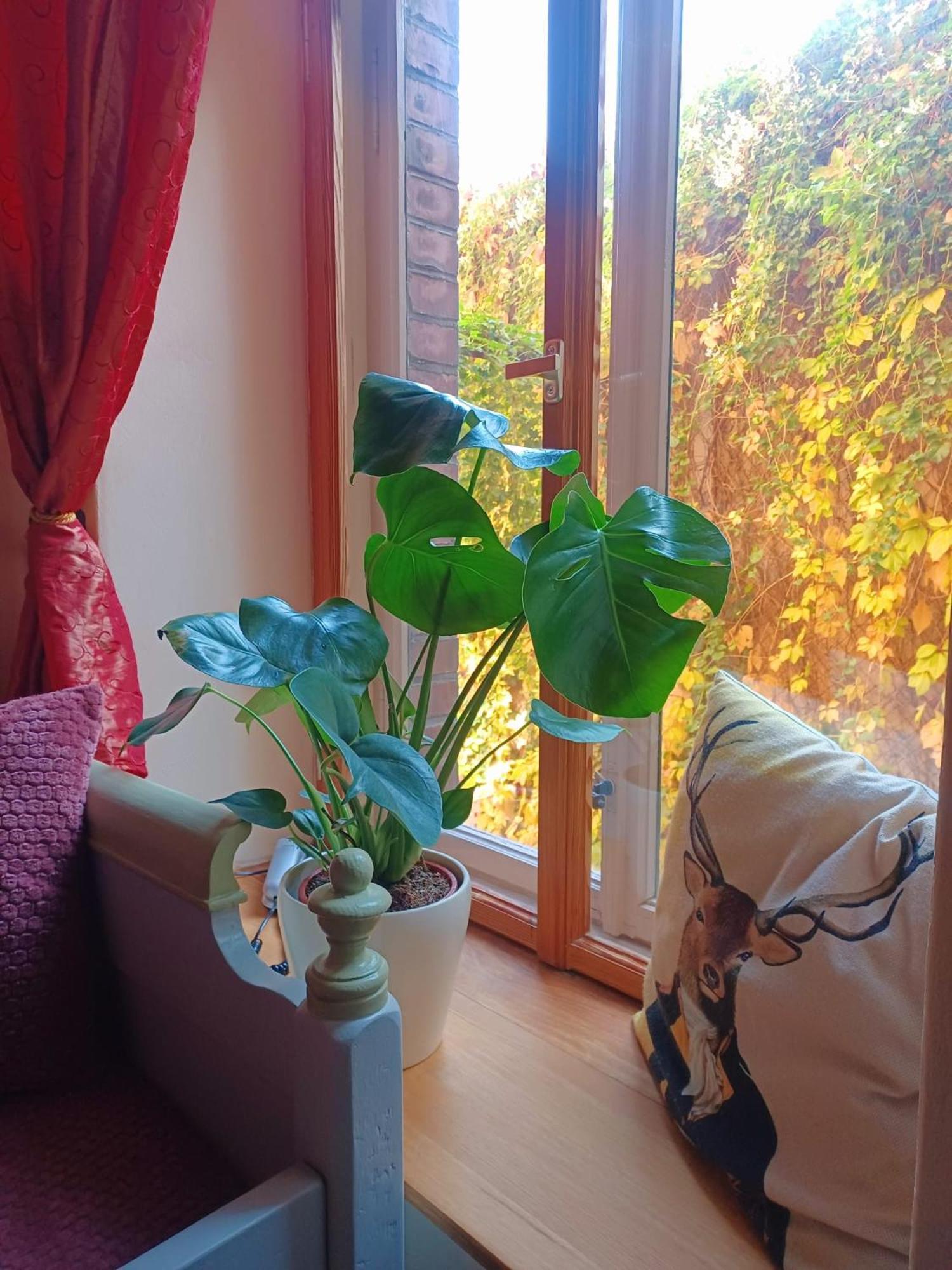 Ferienwohnung Antik 고타 외부 사진