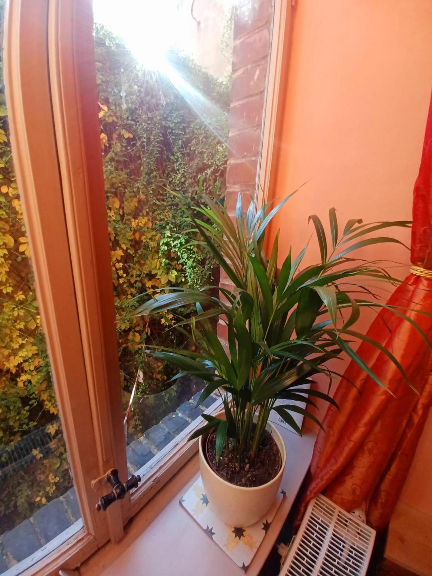 Ferienwohnung Antik 고타 외부 사진